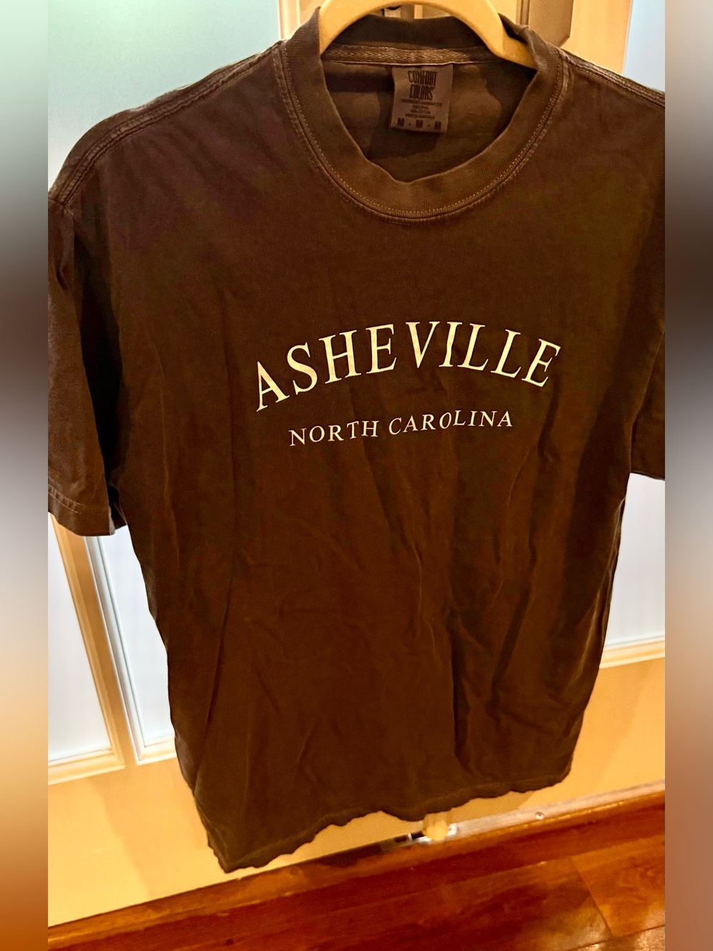 Comfort Colors Brown Asheville North Carolina Graphic Tee